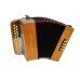 Acordeon Minuano 8 Baixos